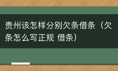 贵州该怎样分别欠条借条（欠条怎么写正规 借条）
