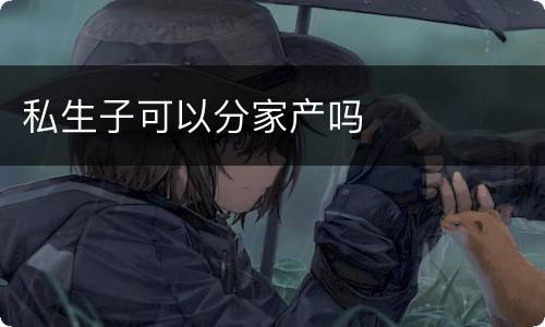 私生子可以分家产吗