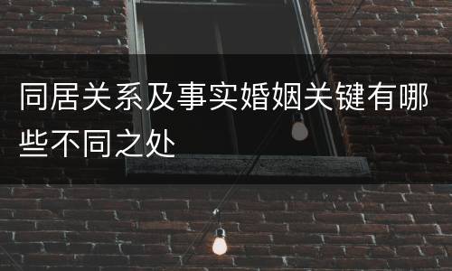 同居关系及事实婚姻关键有哪些不同之处