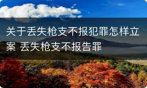 关于丢失枪支不报犯罪怎样立案 丢失枪支不报告罪