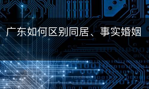 广东如何区别同居、事实婚姻