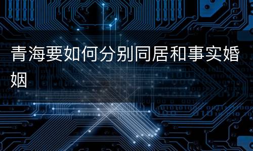 青海要如何分别同居和事实婚姻