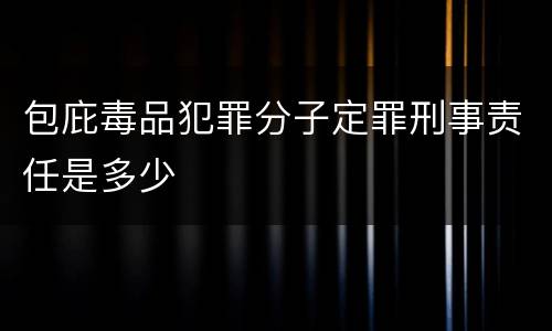 包庇毒品犯罪分子定罪刑事责任是多少