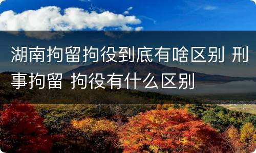 湖南拘留拘役到底有啥区别 刑事拘留 拘役有什么区别