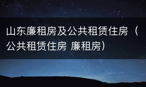 山东廉租房及公共租赁住房（公共租赁住房 廉租房）