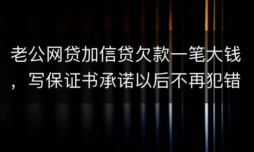 老公网贷加信贷欠款一笔大钱，写保证书承诺以后不再犯错，请问怎样写受法律保护