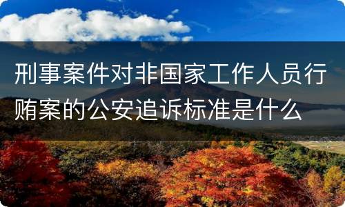 刑事案件对非国家工作人员行贿案的公安追诉标准是什么