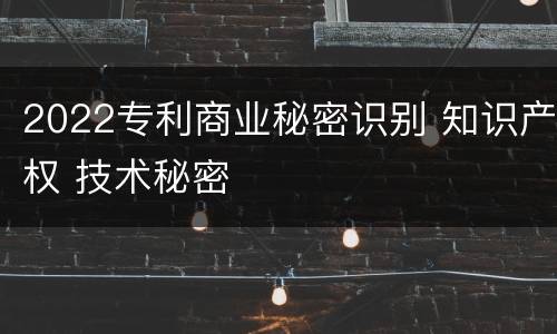 2022专利商业秘密识别 知识产权 技术秘密