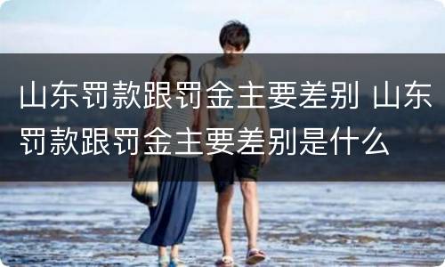 山东罚款跟罚金主要差别 山东罚款跟罚金主要差别是什么