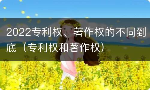 2022专利权、著作权的不同到底（专利权和著作权）