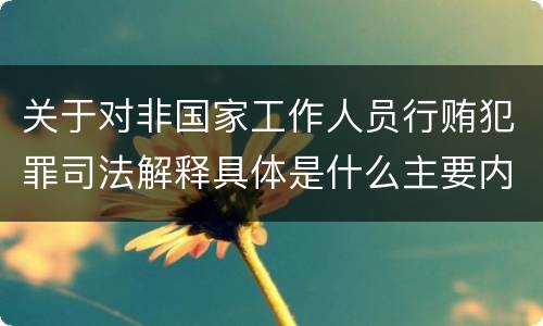 关于对非国家工作人员行贿犯罪司法解释具体是什么主要内容