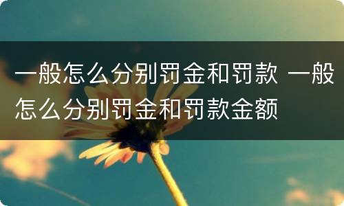 一般怎么分别罚金和罚款 一般怎么分别罚金和罚款金额