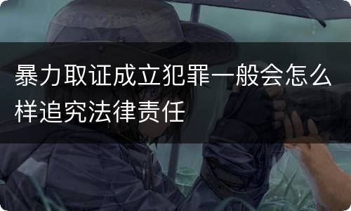 暴力取证成立犯罪一般会怎么样追究法律责任