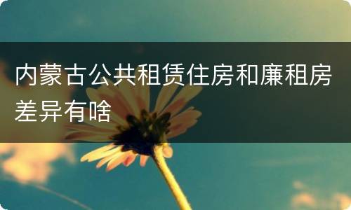 内蒙古公共租赁住房和廉租房差异有啥