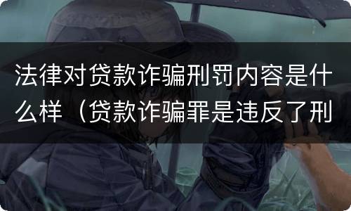 法律对贷款诈骗刑罚内容是什么样（贷款诈骗罪是违反了刑法的哪一条）