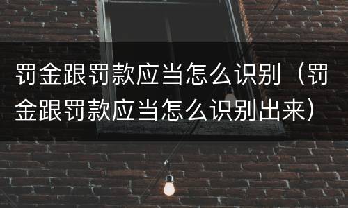罚金跟罚款应当怎么识别（罚金跟罚款应当怎么识别出来）