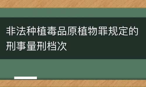 非法种植毒品原植物罪规定的刑事量刑档次