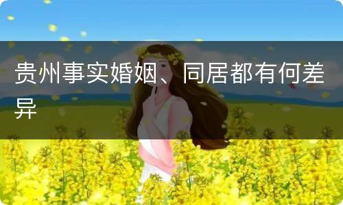 贵州事实婚姻、同居都有何差异