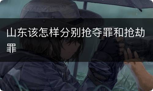 山东该怎样分别抢夺罪和抢劫罪