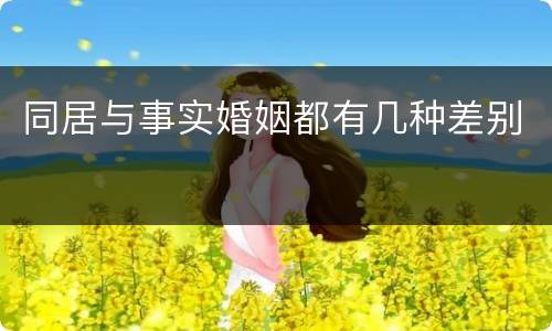同居与事实婚姻都有几种差别