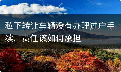私下转让车辆没有办理过户手续，责任该如何承担