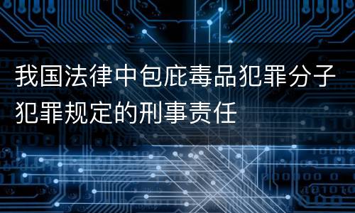 我国法律中包庇毒品犯罪分子犯罪规定的刑事责任