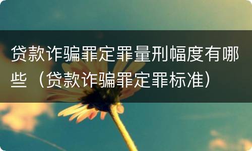 贷款诈骗罪定罪量刑幅度有哪些（贷款诈骗罪定罪标准）