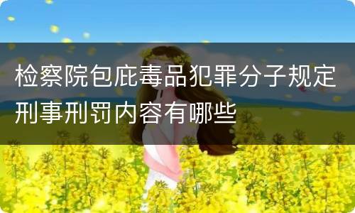 检察院包庇毒品犯罪分子规定刑事刑罚内容有哪些
