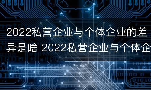 2022私营企业与个体企业的差异是啥 2022私营企业与个体企业的差异是啥呀