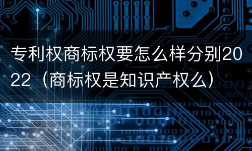 专利权商标权要怎么样分别2022（商标权是知识产权么）
