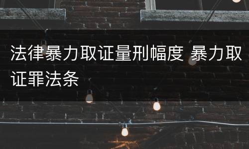 法律暴力取证量刑幅度 暴力取证罪法条