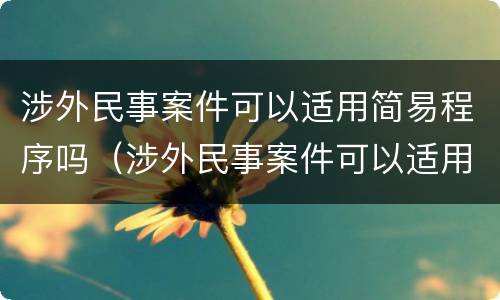 涉外民事案件可以适用简易程序吗（涉外民事案件可以适用简易程序吗）