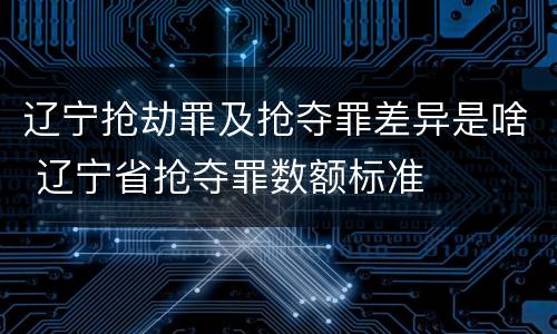 辽宁抢劫罪及抢夺罪差异是啥 辽宁省抢夺罪数额标准