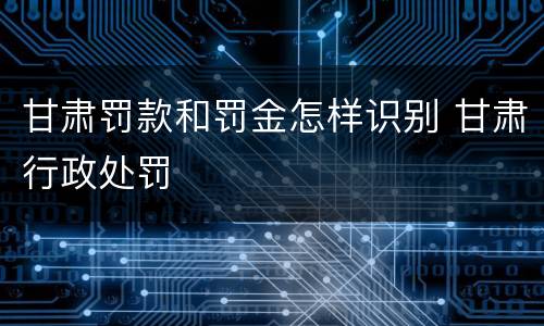 甘肃罚款和罚金怎样识别 甘肃行政处罚