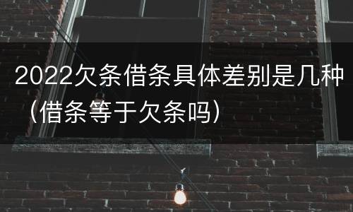 2022欠条借条具体差别是几种（借条等于欠条吗）
