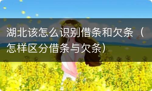 湖北该怎么识别借条和欠条（怎样区分借条与欠条）