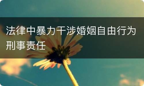 法律中暴力干涉婚姻自由行为刑事责任