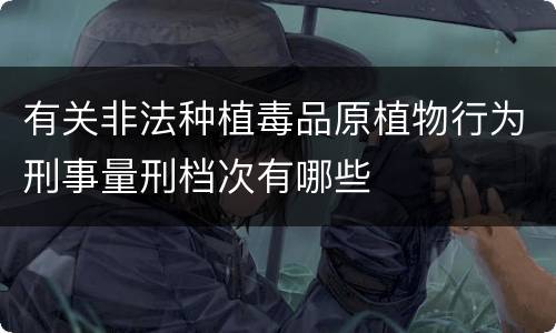 有关非法种植毒品原植物行为刑事量刑档次有哪些
