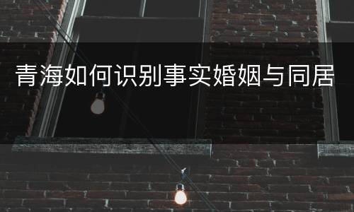 青海如何识别事实婚姻与同居