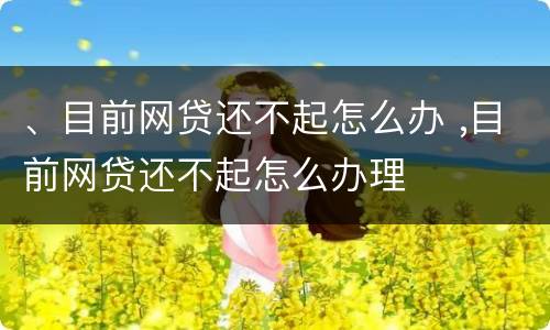 、目前网贷还不起怎么办 ,目前网贷还不起怎么办理