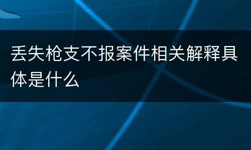 丢失枪支不报案件相关解释具体是什么