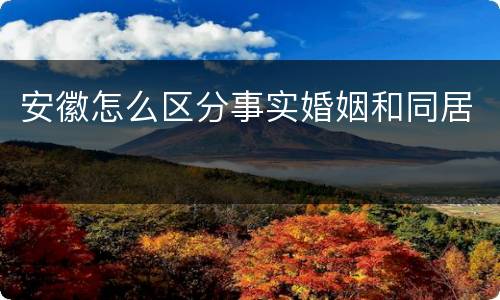 安徽怎么区分事实婚姻和同居