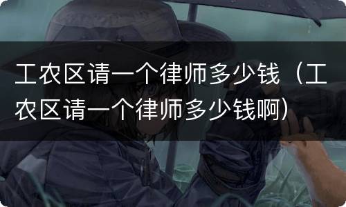 工农区请一个律师多少钱（工农区请一个律师多少钱啊）