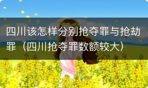 四川该怎样分别抢夺罪与抢劫罪（四川抢夺罪数额较大）
