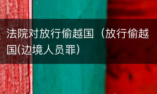 法院对放行偷越国(放行偷越国(边境人员罪)