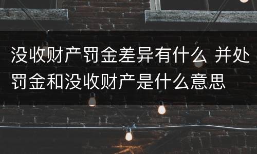 没收财产罚金差异有什么 并处罚金和没收财产是什么意思