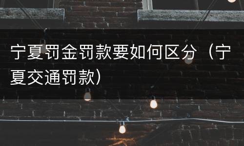 宁夏罚金罚款要如何区分（宁夏交通罚款）