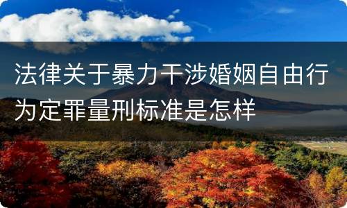 法律关于暴力干涉婚姻自由行为定罪量刑标准是怎样