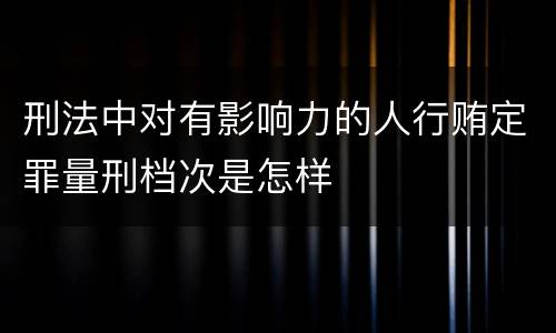 刑法中对有影响力的人行贿定罪量刑档次是怎样