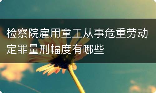 检察院雇用童工从事危重劳动定罪量刑幅度有哪些